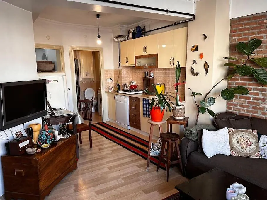 Apartmán Cozy Flat To Taxim, Beyoglu, Pera, Galata Istanbulská provincie 0*,  Turecko